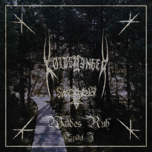 Koldbrynger : Waldes Ruh' - Kapitel I